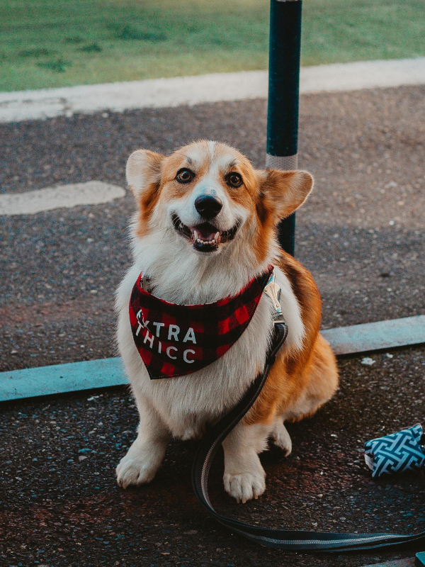 Home 10 96 Your Home Teller